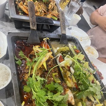 Kyuramen - Flushing - Ramen Near Me - Flushing, New York
