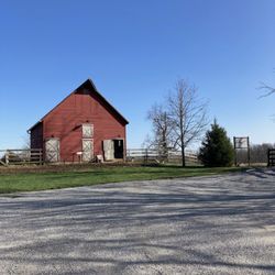 Bossaer Farms Bakery and Cafe - Parking lot