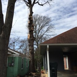 Triple J Tree Service - Too close