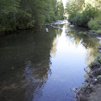 Summerdale Campground - Campgrounds Near Me - Fish Camp, California Summerdale Campground - Campgrounds Near Me - Fish Camp, California