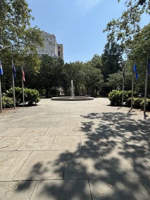 Washington Square by null