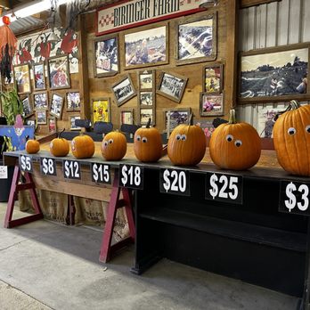 Biringer's Black Crow Pumpkins and Corn Maze - Pumpkin prices - Farms Near Me - Arlington, Washington