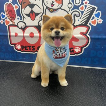 Doki's Pets Grooming - Pet Groomers Near Me - Miami, Florida Doki's Pets Grooming - Pet Groomers Near Me - Miami, Florida