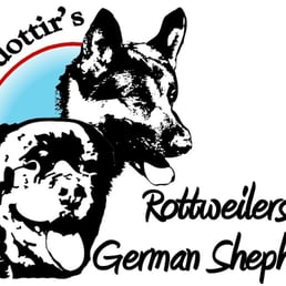 logo logo