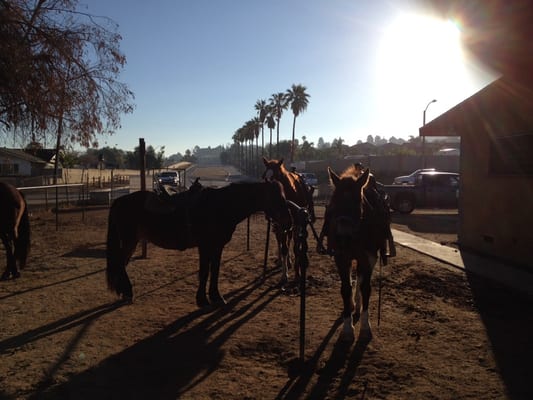 S&D Horseback Riding by null
