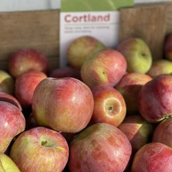 Orbaker's Farm Market
