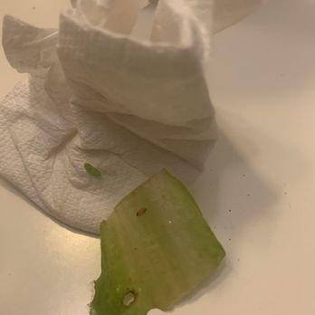 Mi Cocina - Live worm and hair in salad. - Mexican Near Me - Plano, Texas Mi Cocina - Live worm and hair in salad. - Mexican Near Me - Plano, Texas