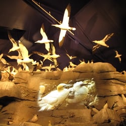 station L.P.O. Ligue de Protection des Oiseaux
