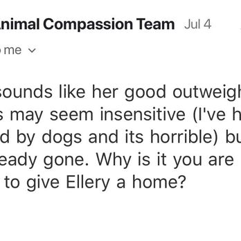 Animal Compassion Team - Their response to my emails (a week later) about our adopted dog killing the family cat of 14 years. - Animal Shelters Near Me - Fresno, California Animal Compassion Team - Their response to my emails (a week later) about our adopted dog killing the family cat of 14 years. - Animal Shelters Near Me - Fresno, California