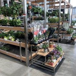 Canadian Tire