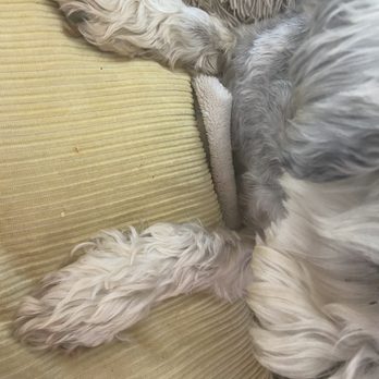 Expert Pet - Pet Stores Near Me - San Francisco, California