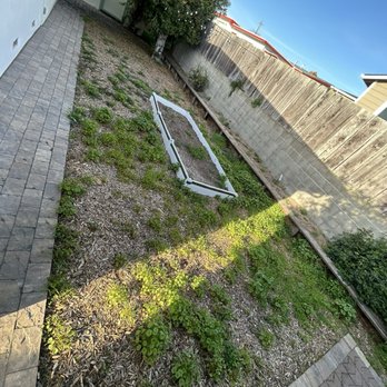 River Landscape & Tree Service - Before - Landscaping Near Me River Landscape & Tree Service - Before - Landscaping Near Me