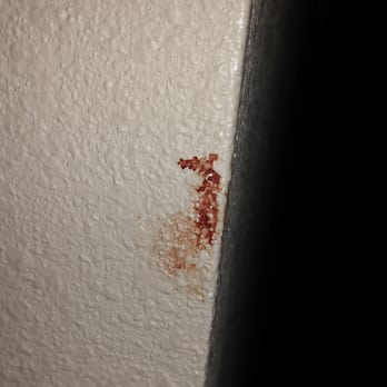 Wyndham Garden Midland - Filth everywhere!! - Hotels Near Me - Midland, Texas Wyndham Garden Midland - Filth everywhere!! - Hotels Near Me - Midland, Texas