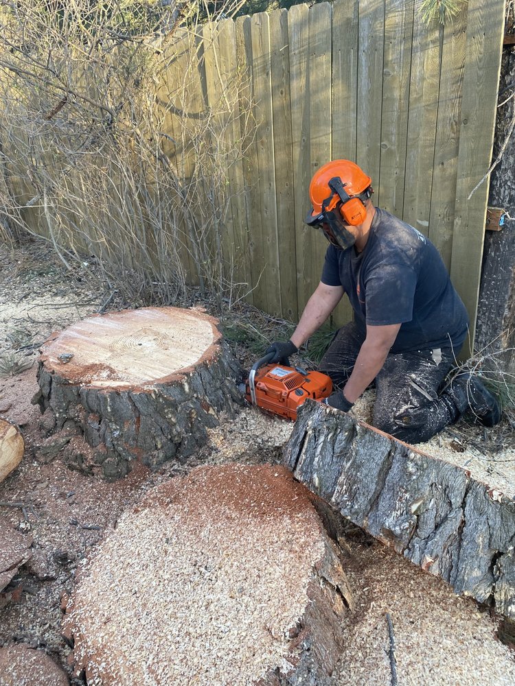 Arbor Tree Tech & Landscaping - tree service in Taylorsville, UT