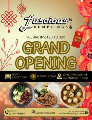 Luscious Dumplings by null