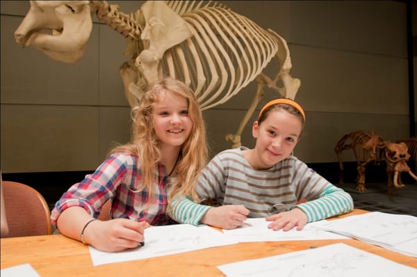 Senckenberg Nature Museum by null