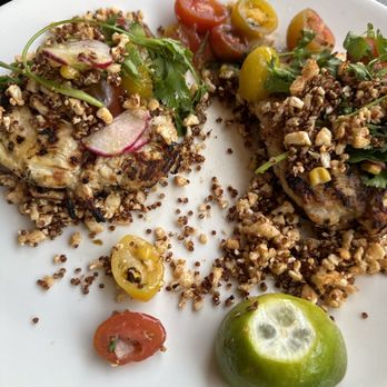 Yard House - Cilantro Lime Chicken - Bars Near Me - Sunrise, Florida Yard House - Cilantro Lime Chicken - Bars Near Me - Sunrise, Florida