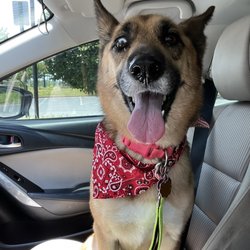 The Art of Grooming - Riley Bear