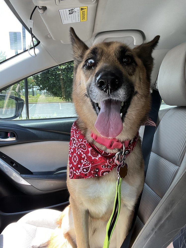 THE ART OF GROOMING Updated August 2024 12 Photos & 22 Reviews