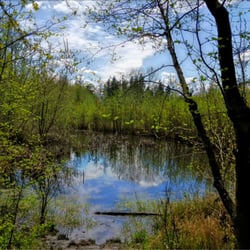 Nathan Chapman Memorial Trail