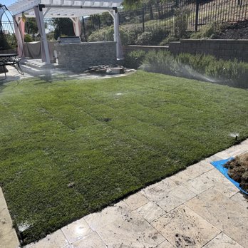 Social Spaces - Back lawn - Landscaping Near Me Social Spaces - Back lawn - Landscaping Near Me