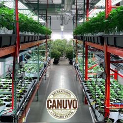 Canuvo