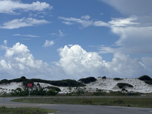 Grayton Beach State Park by null