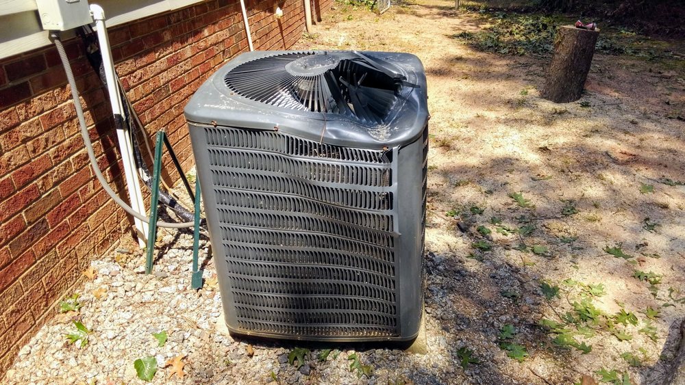 Axe Brothers Tree Service - tree service in Columbia, SC