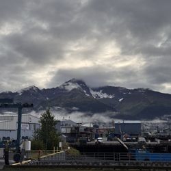 Summit Sips - View from coffee shop