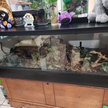 LLLReptile & Supply - Reptile Shops Near Me - Oceanside, California LLLReptile & Supply - Reptile Shops Near Me - Oceanside, California