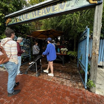 Blue Heaven - Entrance - Breakfast & Brunch Near Me - Key West, Florida