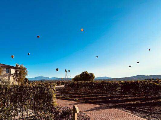Ponte Vineyard Inn by null