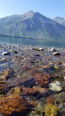 Lake McDonald by null