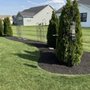 Photo of Top Notch Lawn Maintenance