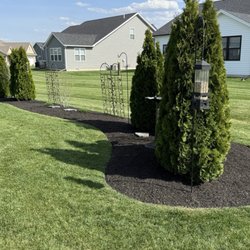 Top Notch Lawn Maintenance