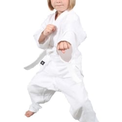 American Taekwon Do - After School Program (transportation provided)