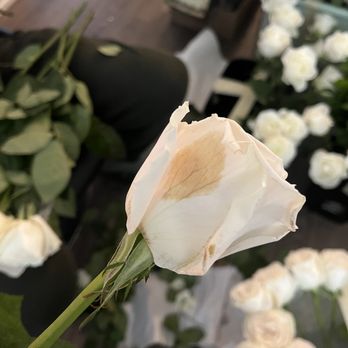 Toronto Bulk Flowers - Florists Near Me - Markham, Ontario Toronto Bulk Flowers - Florists Near Me - Markham, Ontario