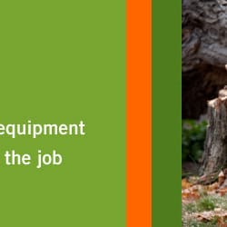 Wesley Tree Specialist