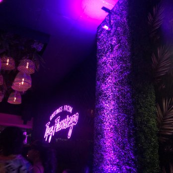 Tipsy Flamingo - Cocktail Bars Near Me - Miami, Florida Tipsy Flamingo - Cocktail Bars Near Me - Miami, Florida