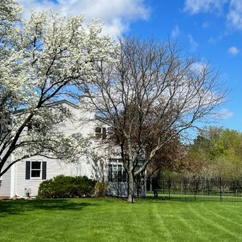 Expert Fence - Completed Fence looks great. - Fences & Gates Near Me