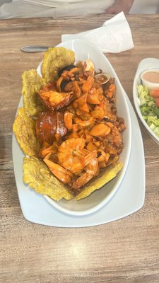 Palmas El Rincón De Paco by null