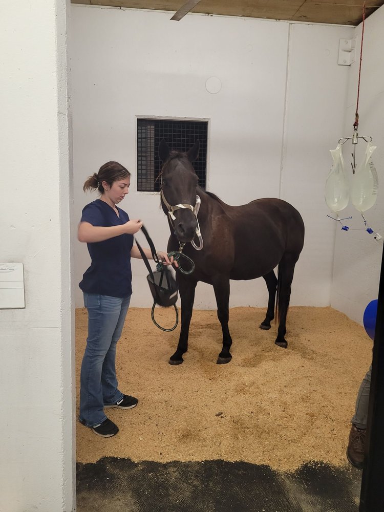 WOODSIDE EQUINE CLINIC Updated October 2024 13011 Blanton Rd