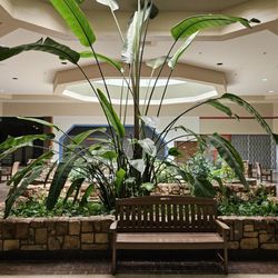 Cranberry Mall - Planter.
