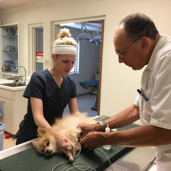 Blairs Ferry Pet Hospital - Pet Sitting Near Me - Cedar Rapids, Iowa Blairs Ferry Pet Hospital - Pet Sitting Near Me - Cedar Rapids, Iowa