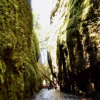 Oneonta Falls - Parks Near Me - Corbett, Oregon Oneonta Falls - Parks Near Me - Corbett, Oregon