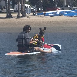 Pups on the water! Pups on the water!