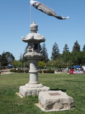 Cupertino Cherry Blossom Festival by null