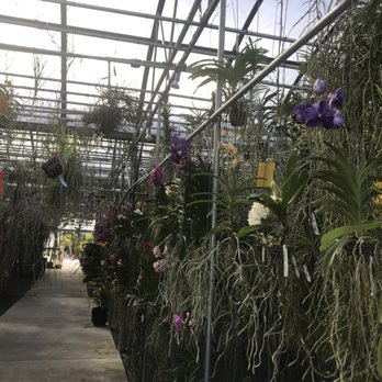 Palmer Orchids - Nurseries & Gardening Near Me - Bradenton, Florida