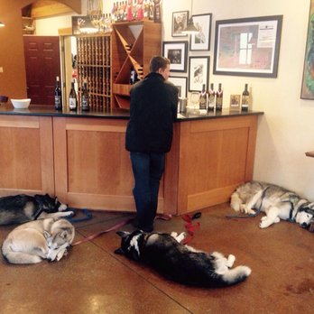 Lost River Winery - After playing in the snow there's nothing better than wine! - Wineries Near Me - Winthrop, Washington