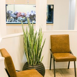 Alpharetta Dental Town